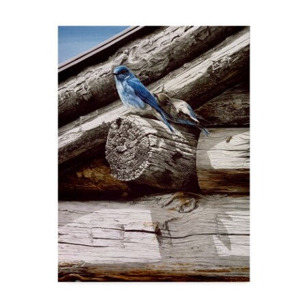 Trademark Fine Art Ron Parker 'Weathered Wood' Canvas Art, 18x24 ALI32599-C1824GG